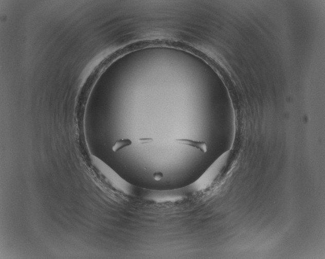 X0000070230927200605301452