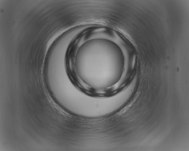 X0000070230928200605301452