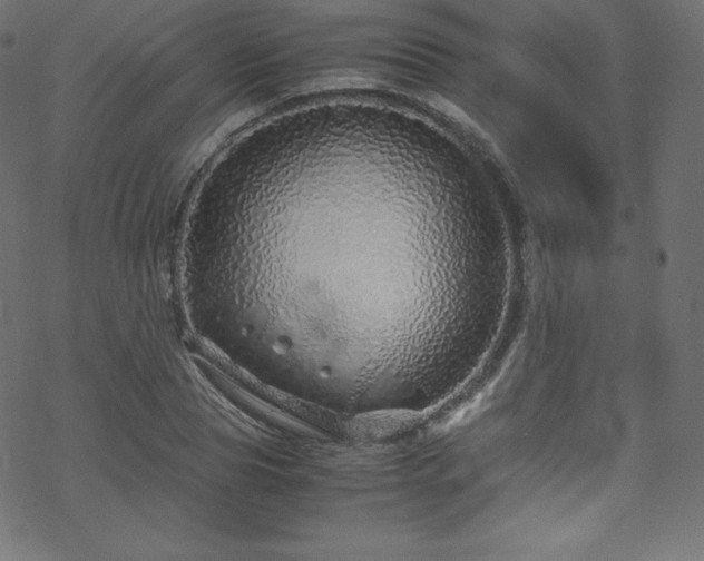 X0000070230929200605301452