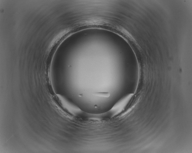 X0000070230930200605301452