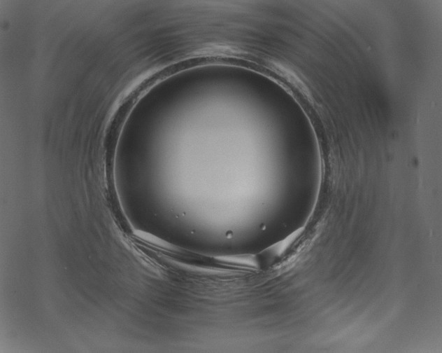 X0000070230931200605301452