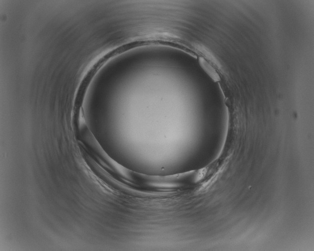 X0000070230932200605301452