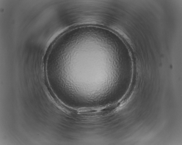 X0000070230933200605301452