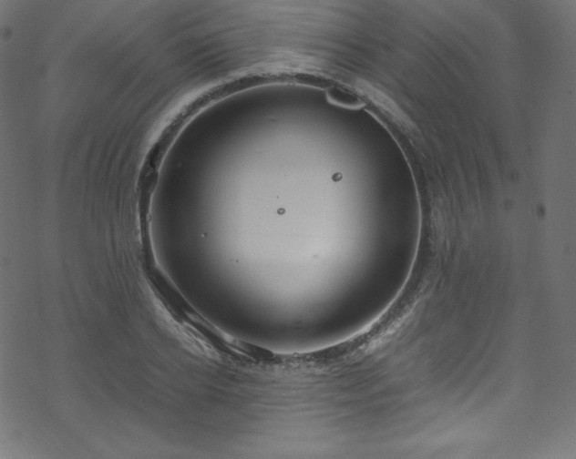 X0000070230934200605301452