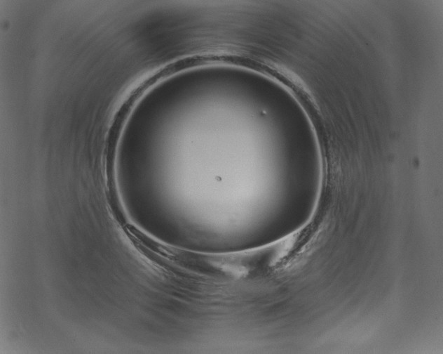 X0000070230935200605301452