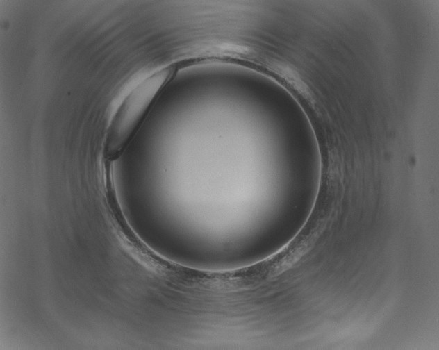 X0000070230936200605301452