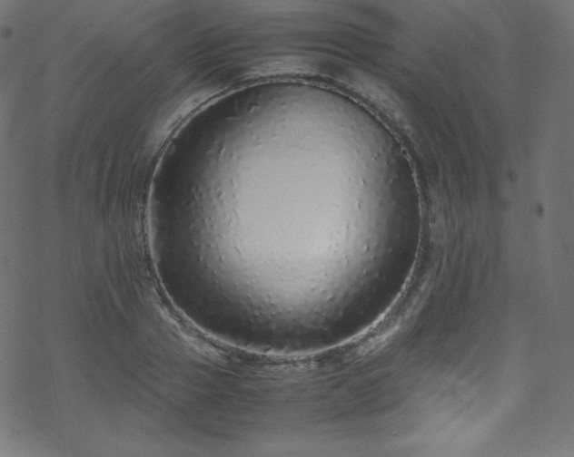 X0000070230937200605301452