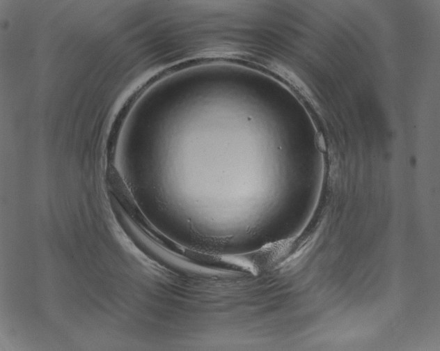 X0000070230939200605301452