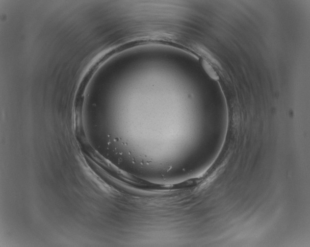 X0000070230940200605301452