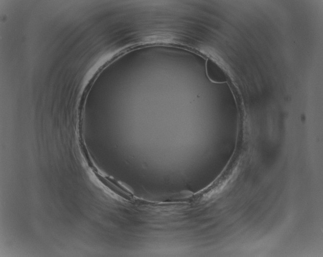 X0000070230941200605301452