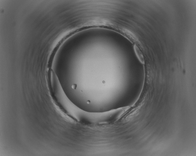 X0000070230942200605301452