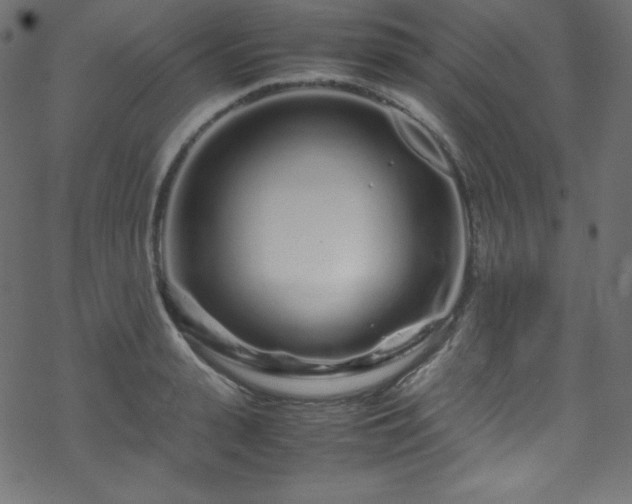 X0000070230943200605301452