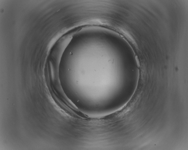 X0000070230944200605301452