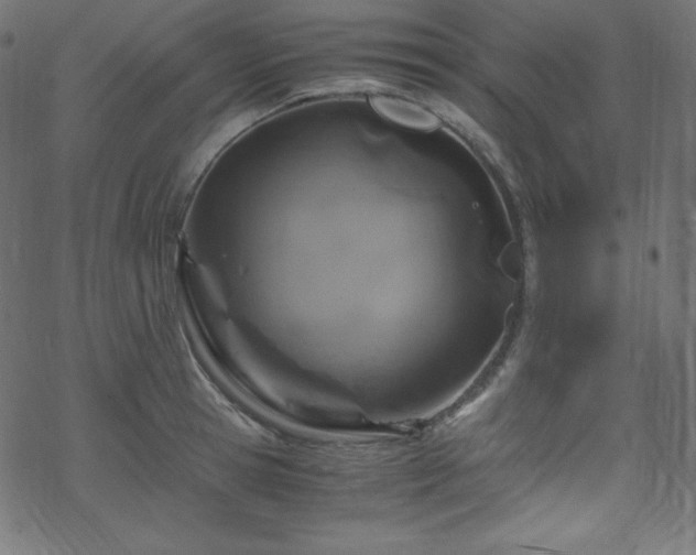 X0000070230945200605301452