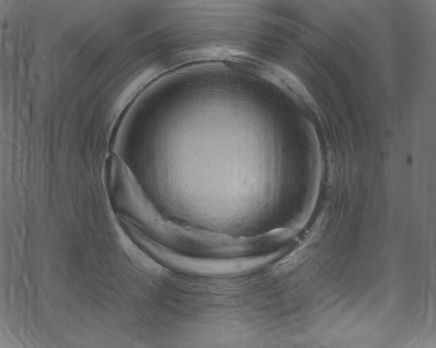 X0000070230946200605301452