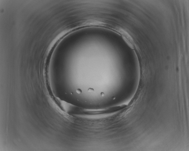 X0000070230947200605301452