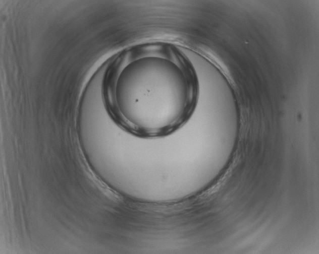 X0000070230948200605301452