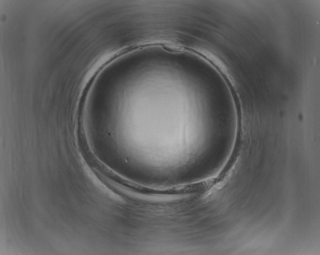 X0000070230949200605301452