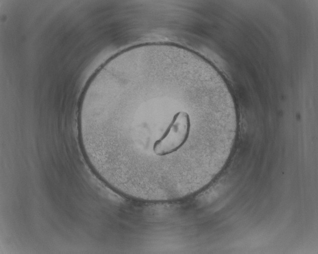 X0000070230950200605301452