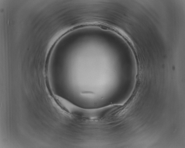 X0000070230951200605301452