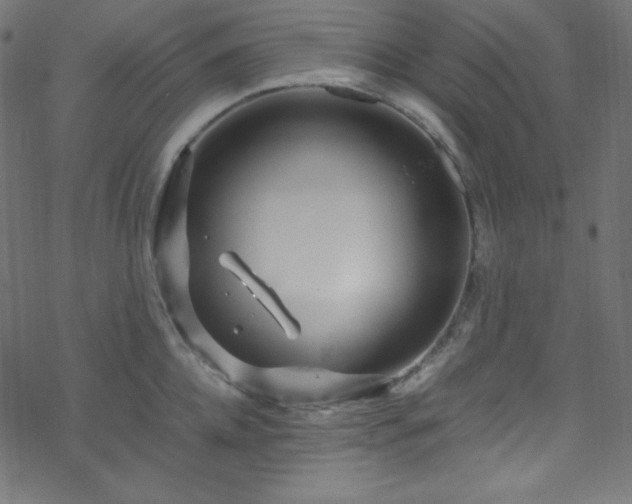 X0000070230952200605301452