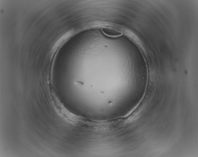 X0000070230954200605301452