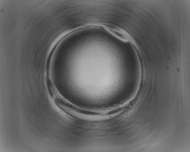 X0000070230955200605301452