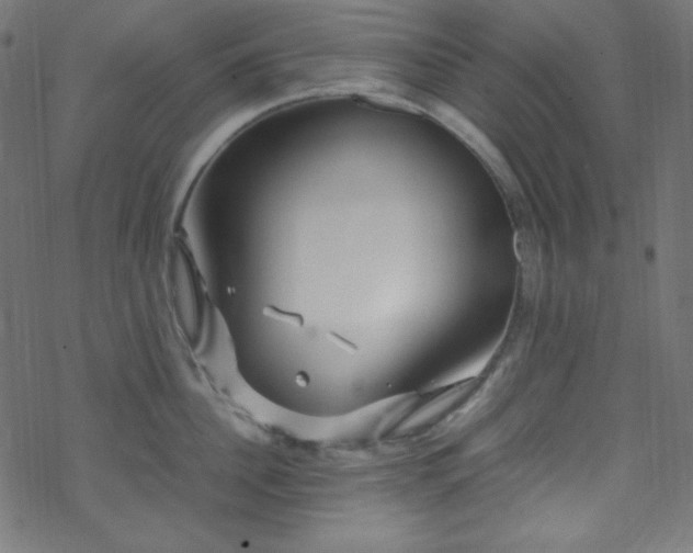 X0000070230956200605301452