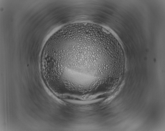 X0000070230957200605301452