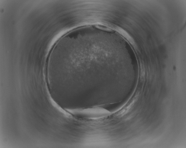 X0000070230958200605301452