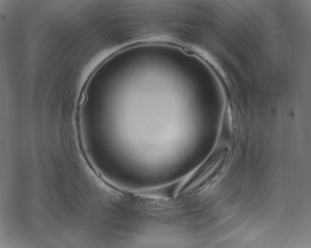 X0000070230959200605301452