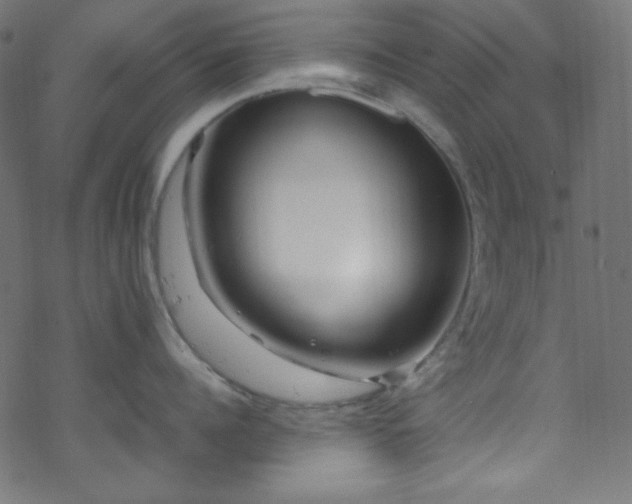 X0000070230960200605301452