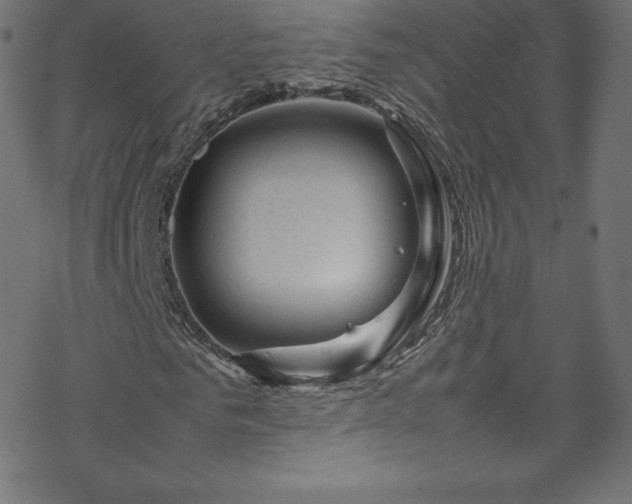 X0000070230961200605301451