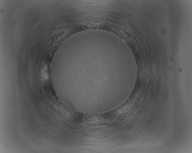 X0000070230962200605301451