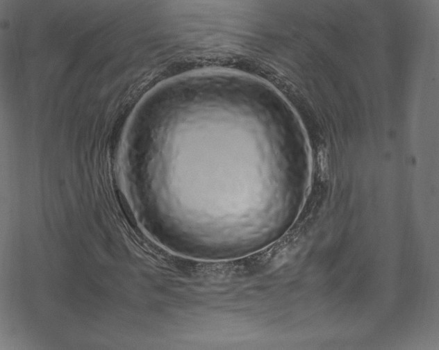 X0000070230963200605301451