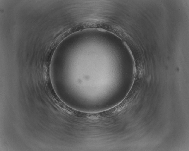 X0000070230964200605301451