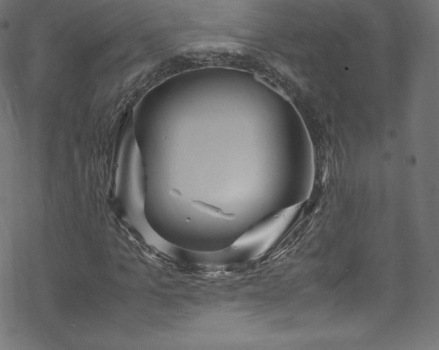 X0000070230965200605301451