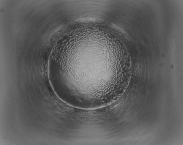 X0000070230966200605301451