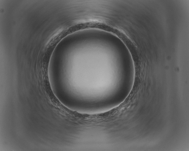 X0000070230967200605301451