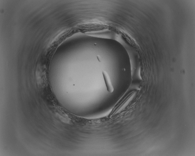 X0000070230968200605301451