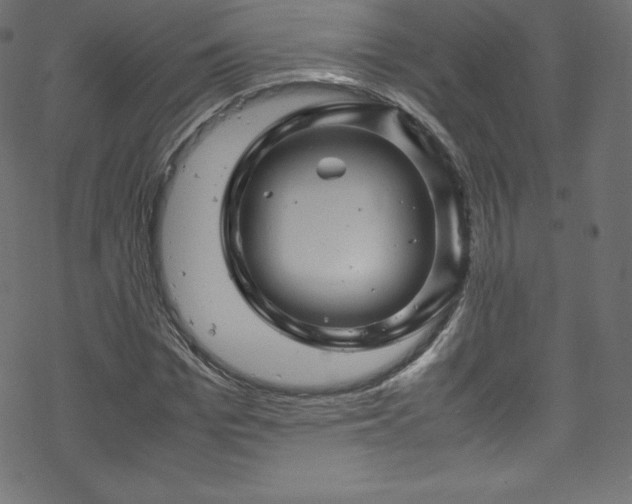 X0000070230969200605301451