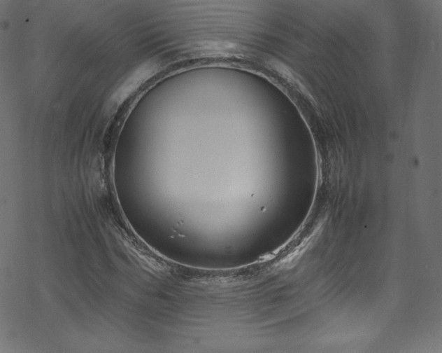 X0000070230970200605301451