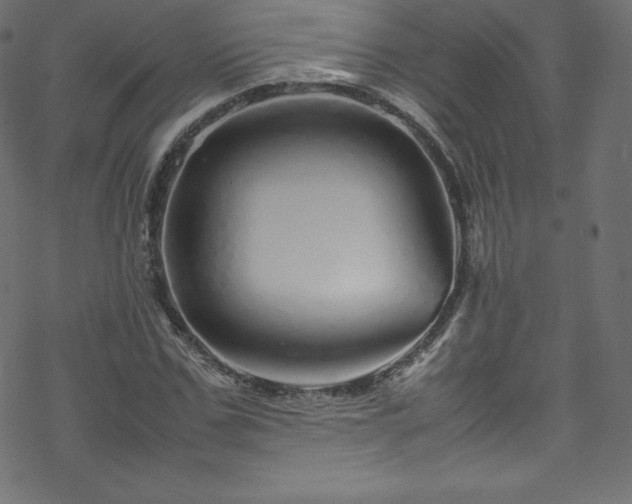 X0000070230971200605301451