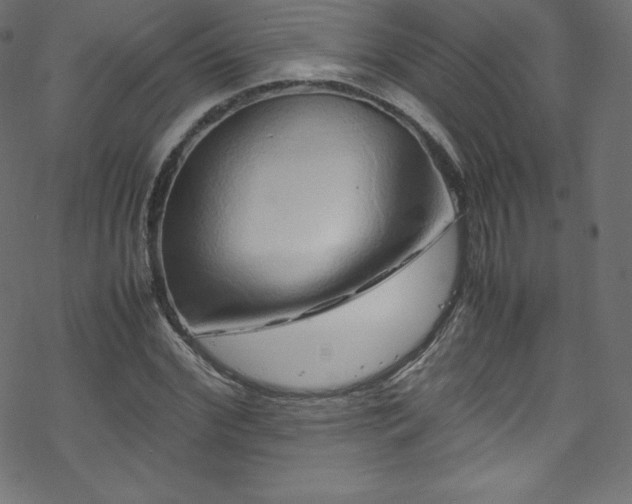 X0000070230972200605301451