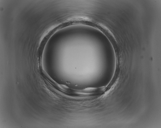 X0000070230973200605301451