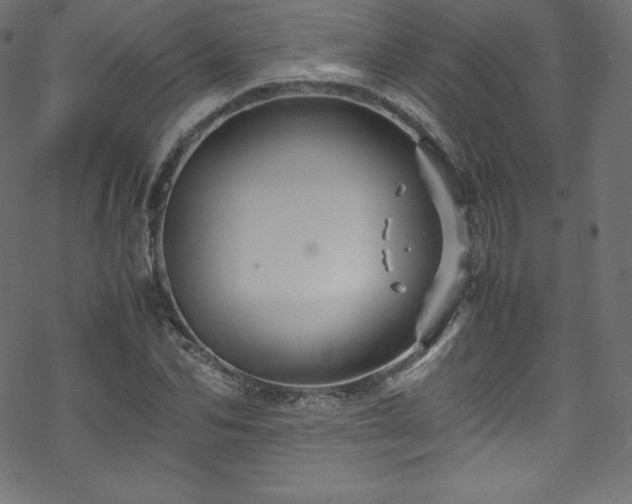 X0000070230974200605301451