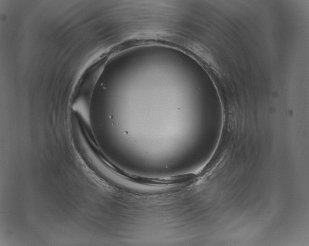 X0000070230976200605301451