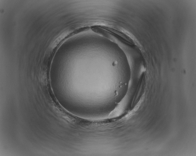 X0000070230977200605301451