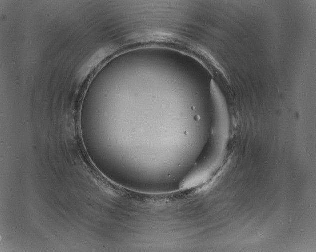 X0000070230978200605301451