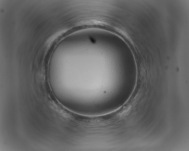 X0000070230979200605301451